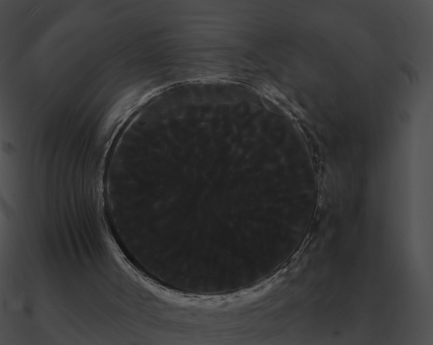 X0000090860002200708030958