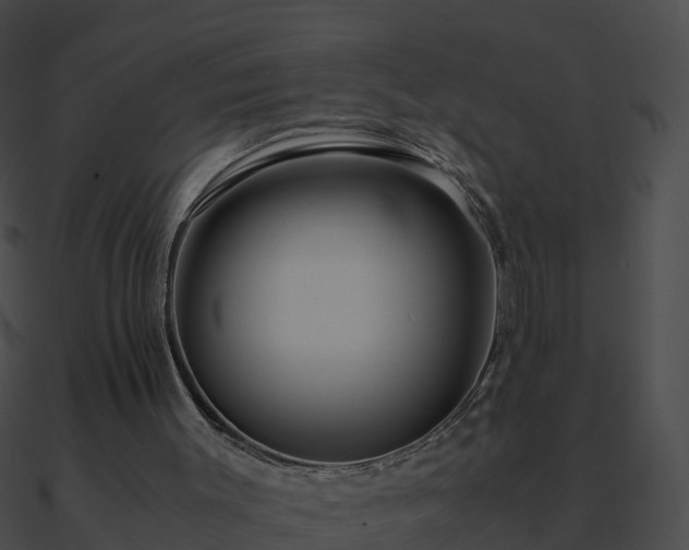 X0000090860003200708030958