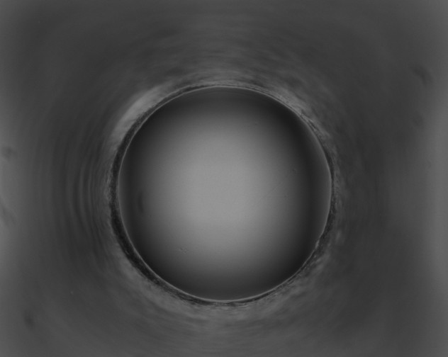 X0000090860007200708030957
