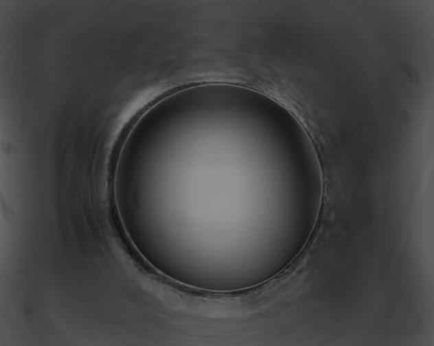 X0000090860008200708030957