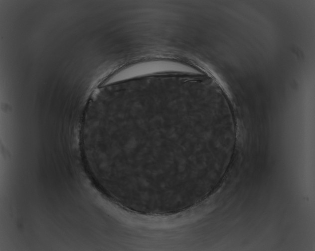X0000090860010200708030957