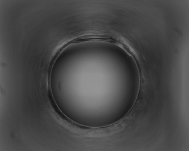 X0000090860011200708030957