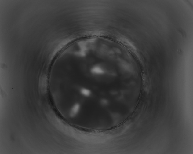 X0000090860012200708030957