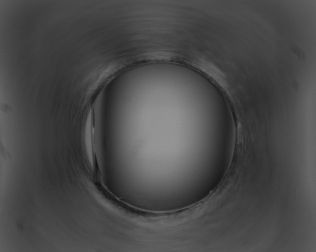 X0000090860013200708030957
