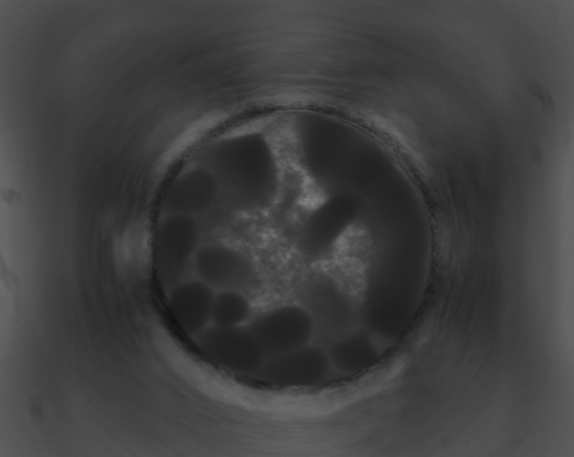 X0000090860016200708030957