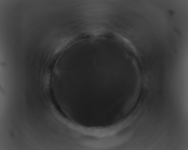 X0000090860018200708030957