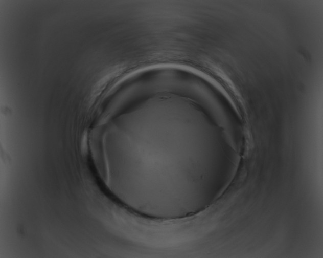 X0000090860019200708030957