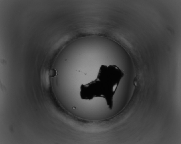 X0000090860020200708030957