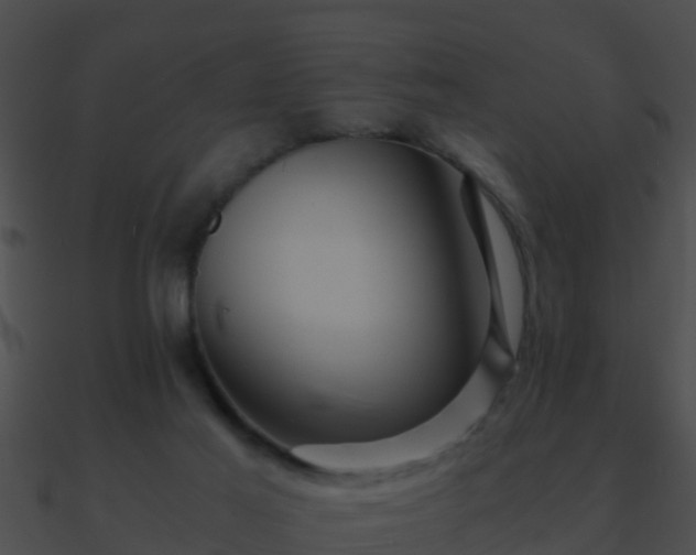 X0000090860021200708030957