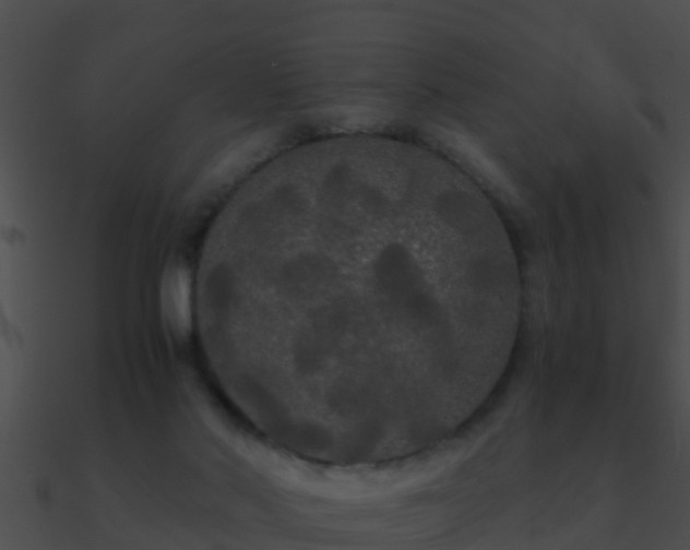 X0000090860022200708030957