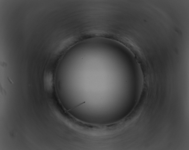 X0000090860024200708030957