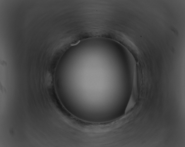 X0000090860025200708030957