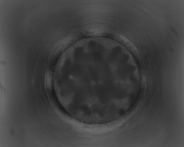 X0000090860026200708030957