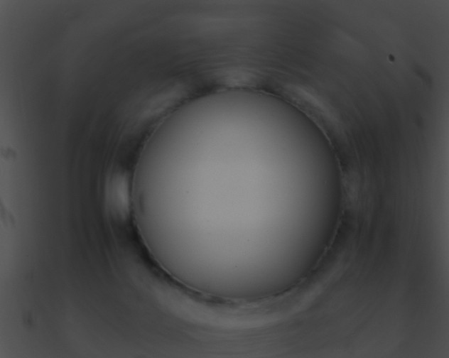 X0000090860028200708030957