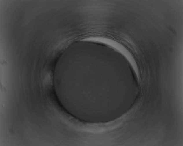 X0000090860029200708030957