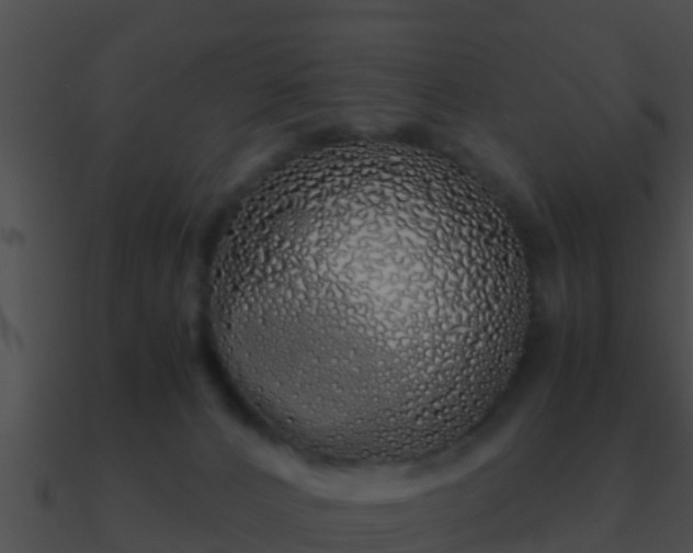 X0000090860032200708030957