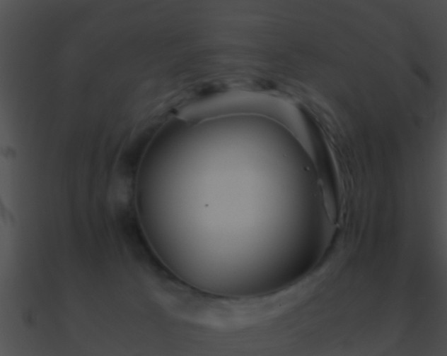 X0000090860033200708030957