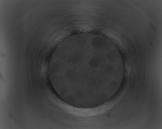 X0000090860034200708030957