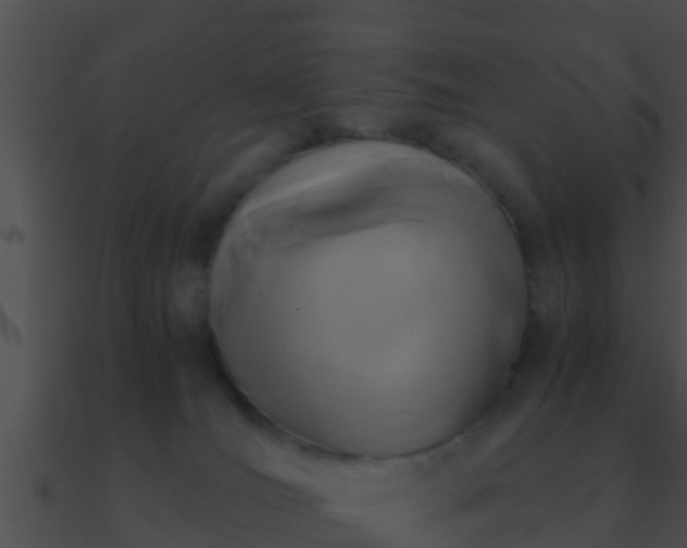 X0000090860036200708030957