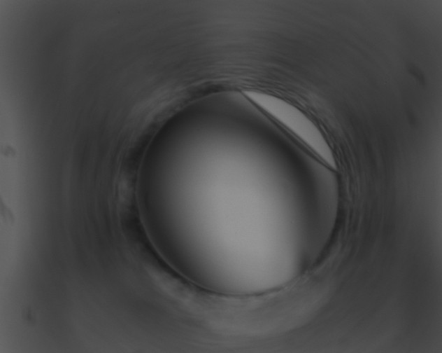 X0000090860037200708030957