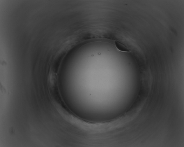 X0000090860038200708030957