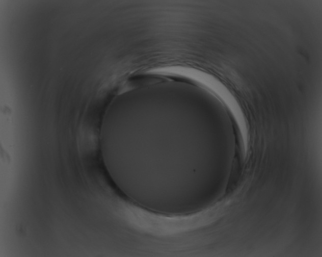 X0000090860039200708030957