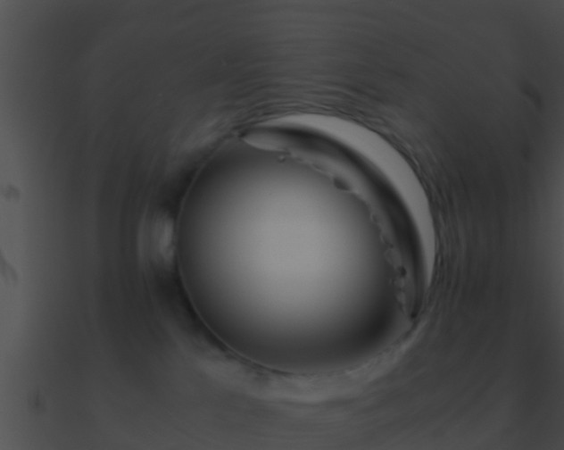 X0000090860041200708030957