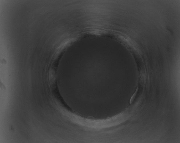 X0000090860043200708030957