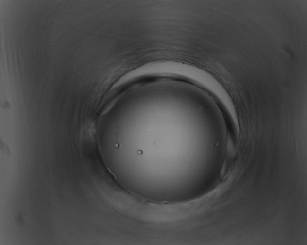 X0000090860045200708030957