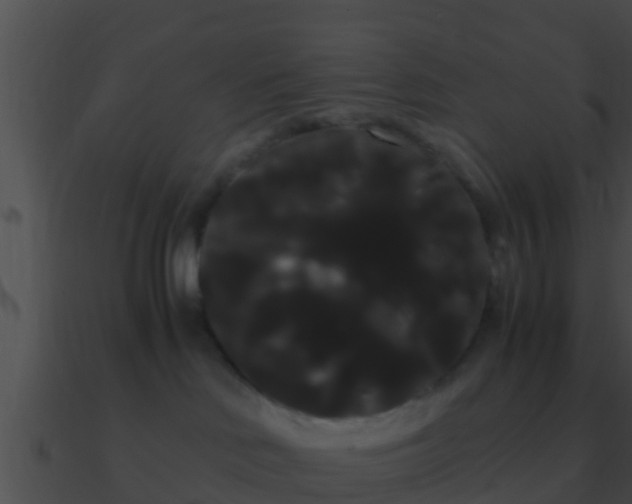 X0000090860046200708030957