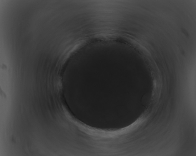 X0000090860048200708030957