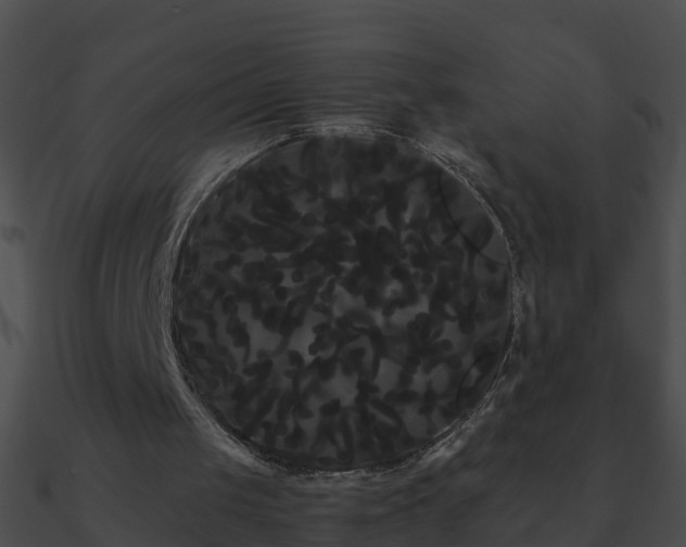 X0000090860049200708030956