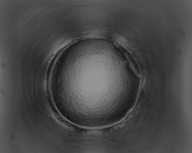 X0000090860050200708030956