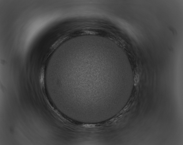 X0000090860052200708030956