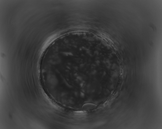 X0000090860053200708030956