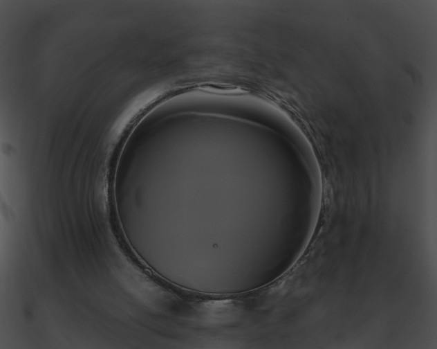 X0000090860054200708030956
