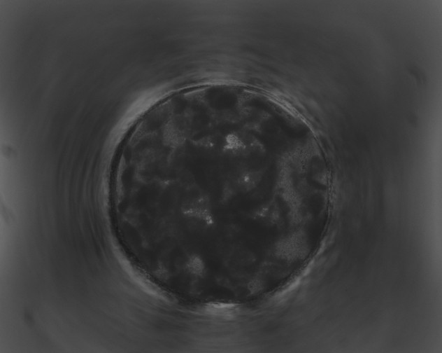 X0000090860055200708030956