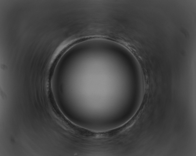 X0000090860056200708030956