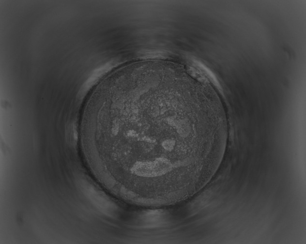 X0000090860059200708030956