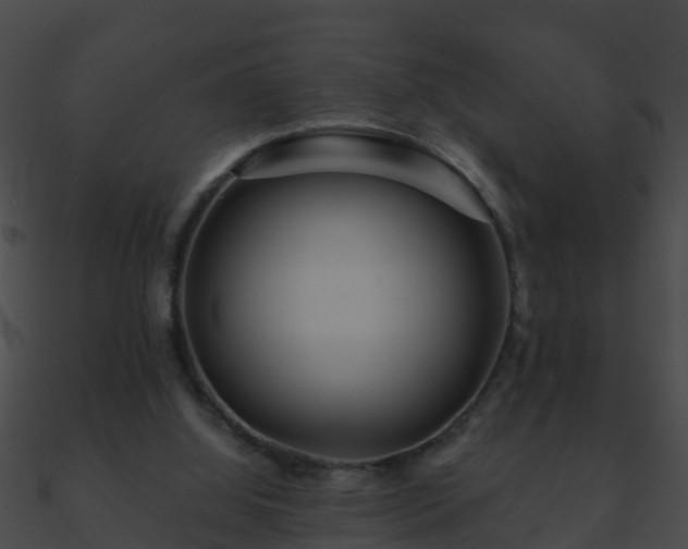 X0000090860060200708030956