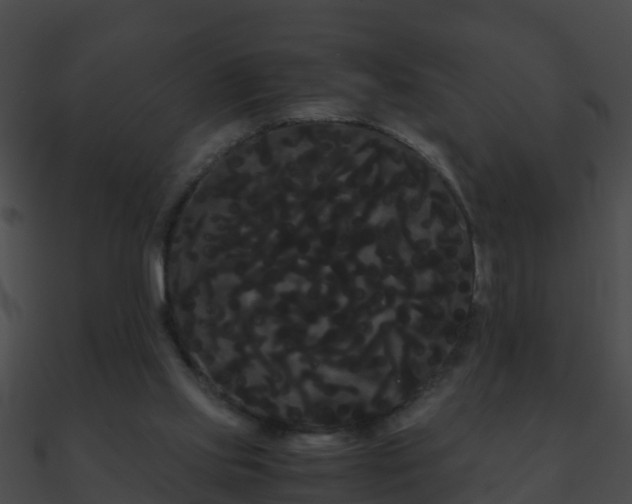 X0000090860061200708030956
