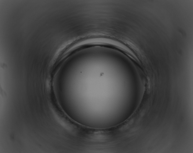 X0000090860064200708030957