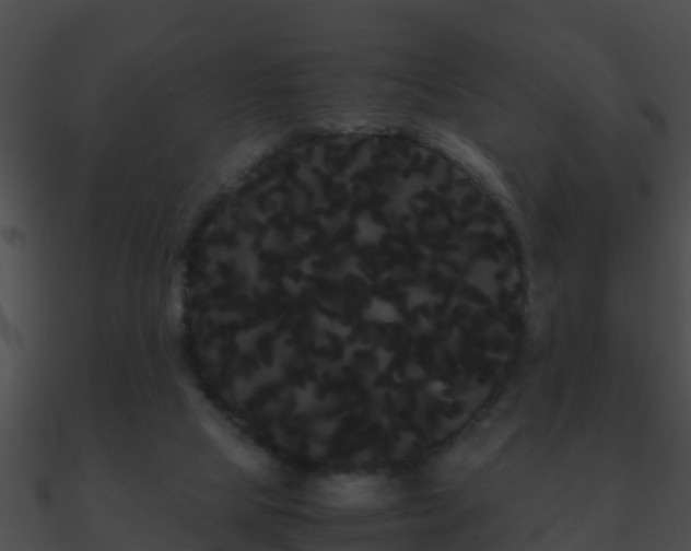 X0000090860065200708030957