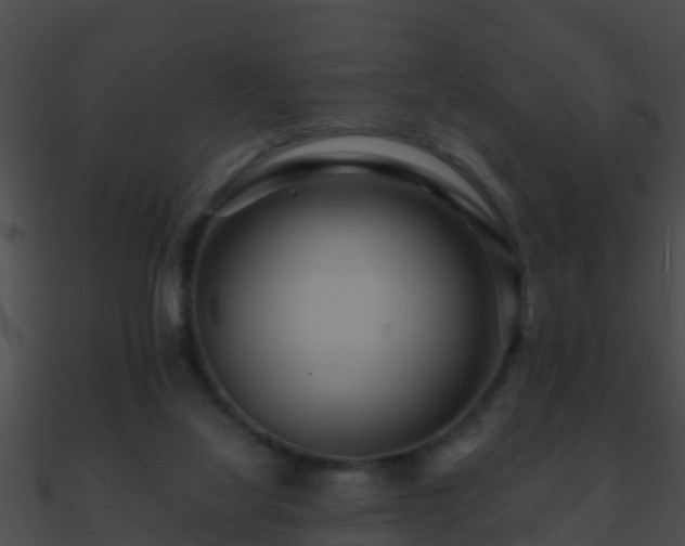 X0000090860068200708030957