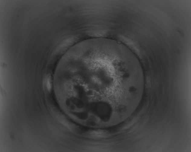 X0000090860069200708030957