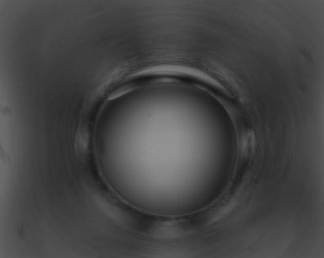 X0000090860072200708030957
