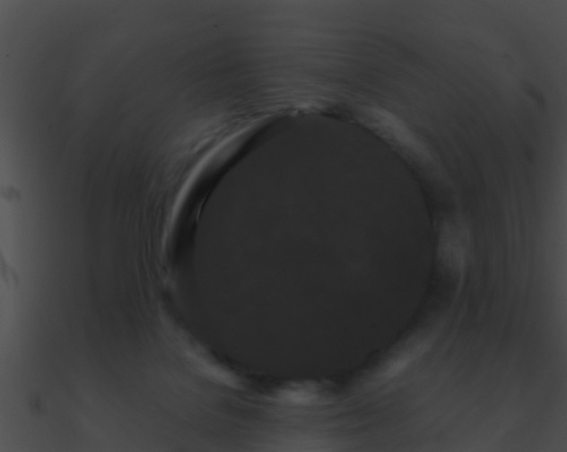 X0000090860076200708030957