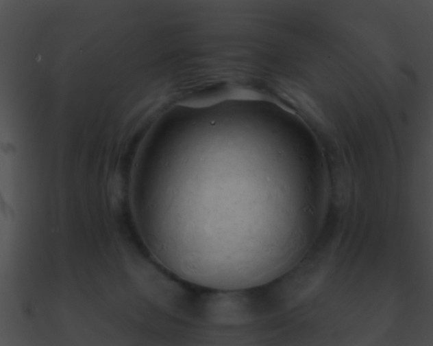 X0000090860077200708030957