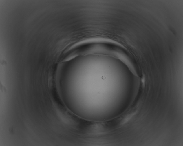X0000090860080200708030957
