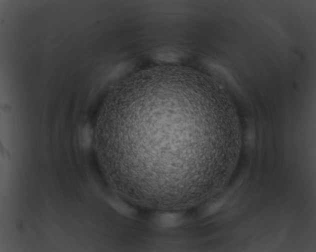 X0000090860081200708030957